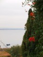 /album/nature-2011/p9168805-jpg/